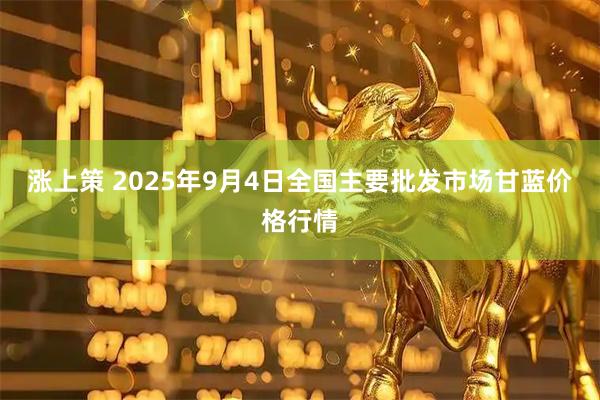涨上策 2025年9月4日全国主要批发市场甘蓝价格行情
