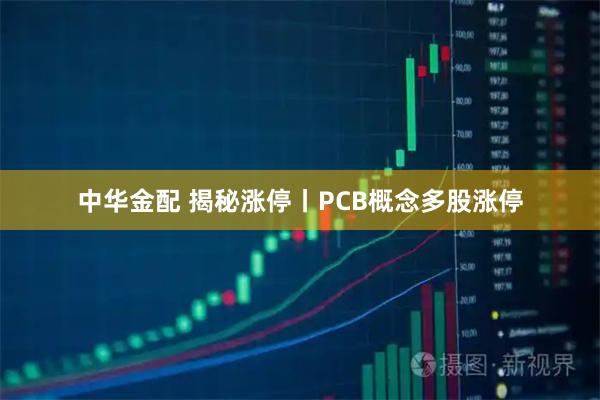 中华金配 揭秘涨停丨PCB概念多股涨停
