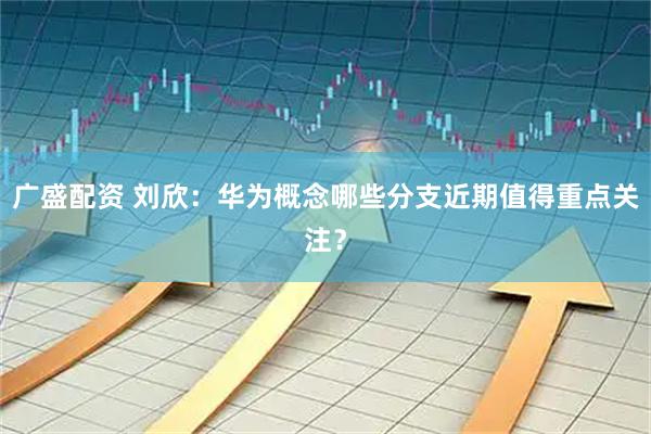 广盛配资 刘欣：华为概念哪些分支近期值得重点关注？