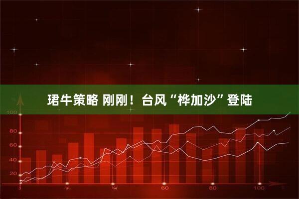 珺牛策略 刚刚！台风“桦加沙”登陆