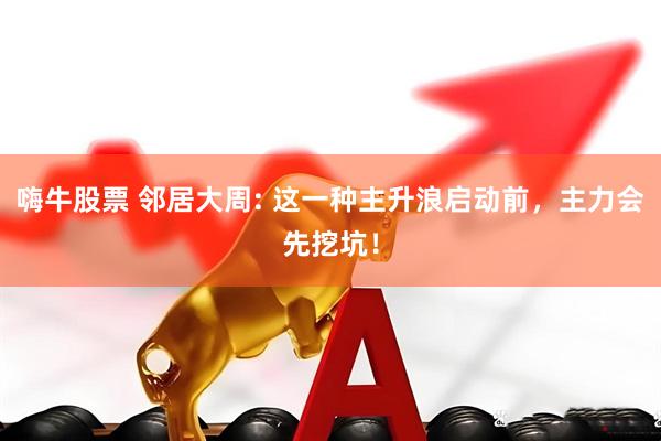 嗨牛股票 邻居大周: 这一种主升浪启动前，主力会先挖坑！