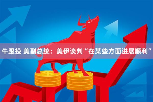 牛跟投 美副总统：美伊谈判“在某些方面进展顺利”