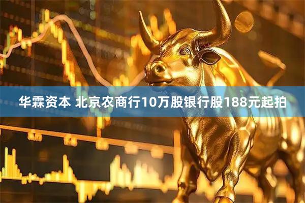 华霖资本 北京农商行10万股银行股188元起拍